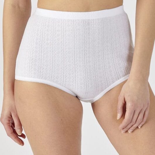 Damart Pack of 4 Maxi Briefs