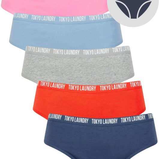 Womens Underwear Zara 9 (5 Pack) Cotton Assorted Briefs in Gray Blue / Poppy Red / Light Grey Marl / Hydrangea Blue / Begonia Pink / XS - Tokyo Laundry